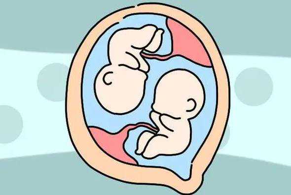 杭州可以找个肚皮代孕吗|2023
河北医科大学第一医院有卵子库吗？河北供卵试管