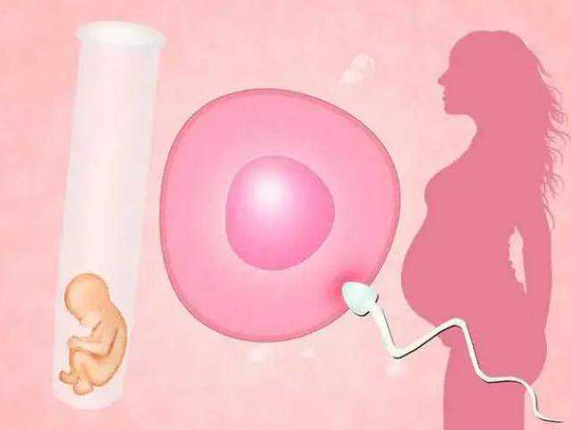 杭州在哪做代孕好|重庆助孕机构第三代试管周期需要多长时间？